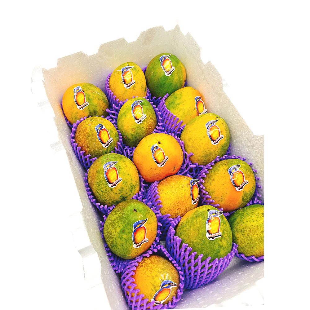 Kingfisher Red Papaya - 1 Piece - Image 5