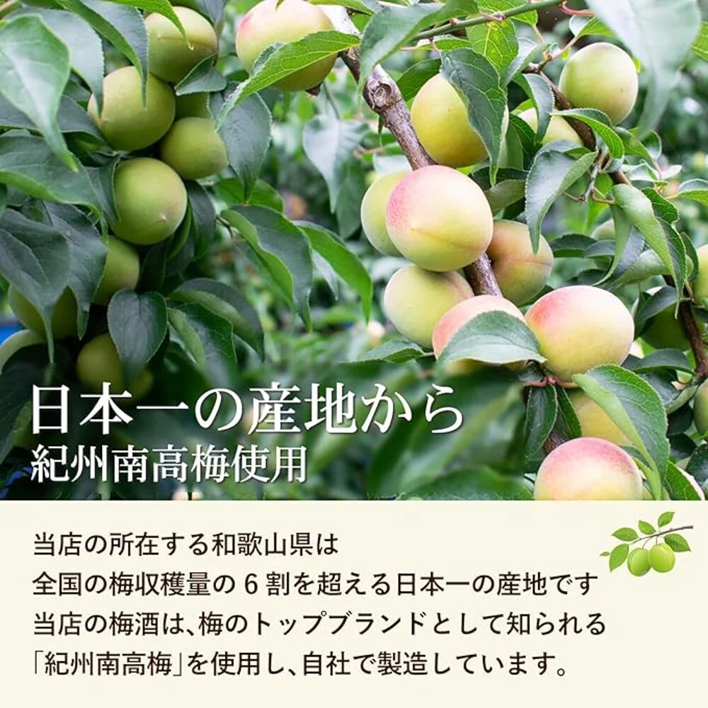 Kishu Wakayama Umeshu Plum Wine 9% 100ml – Japanese Plum Liqueur Cup - Image 3