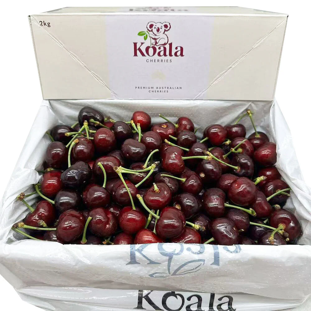 Koala Cherries Arvin Glen Premium Australian Cherries 30–32mm Gift Box ~2kg
