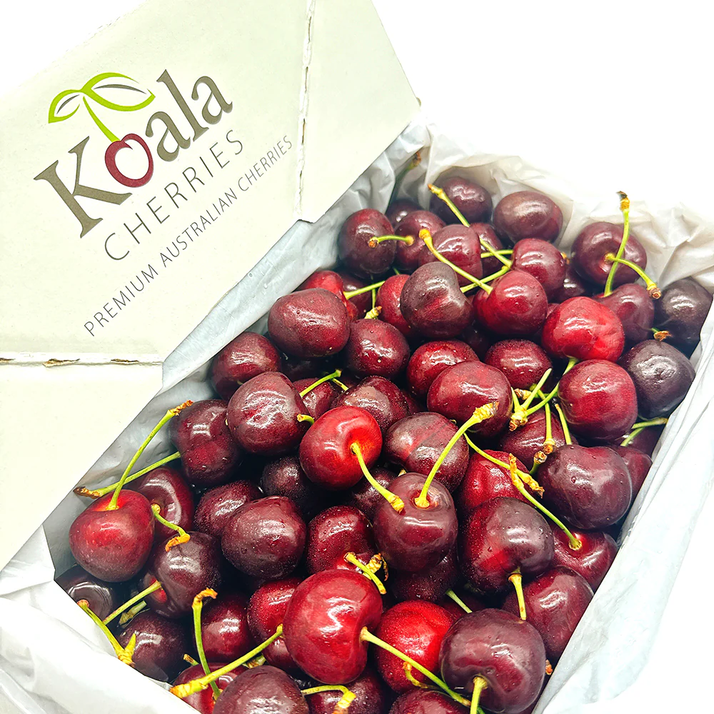 Koala Cherries Gift Box 30-32mm - 2kg - Image 4