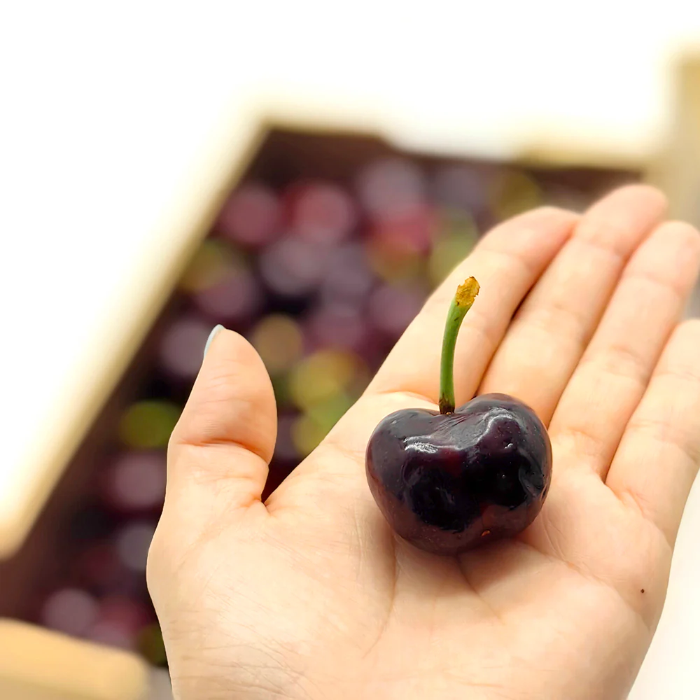 Koala Cherries Gift Box 32-34mm - 1kg - Image 2