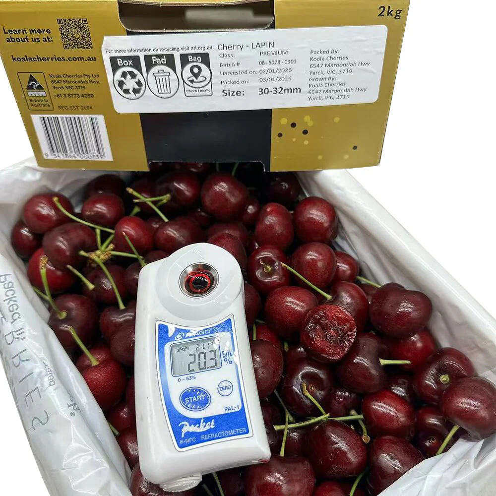 Koala Cherries Lapin Cherries Gift Box 2kg – 30–32mm - Image 2