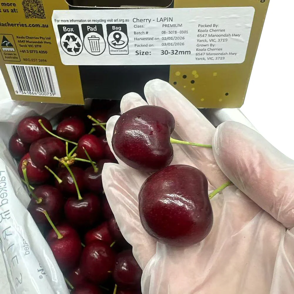 Koala Cherries Lapin Cherries Gift Box 2kg – 30–32mm - Image 3
