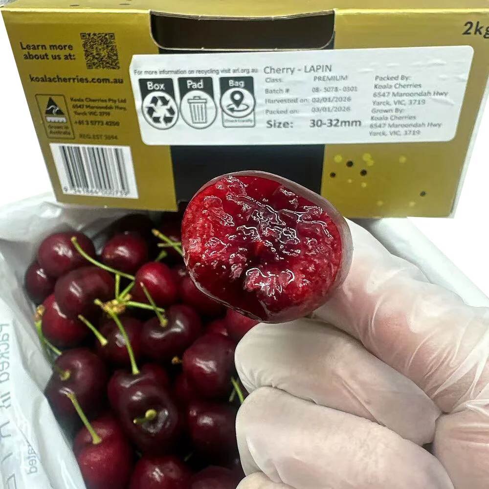 Koala Cherries Lapin Cherries Gift Box 2kg – 30–32mm - Image 4