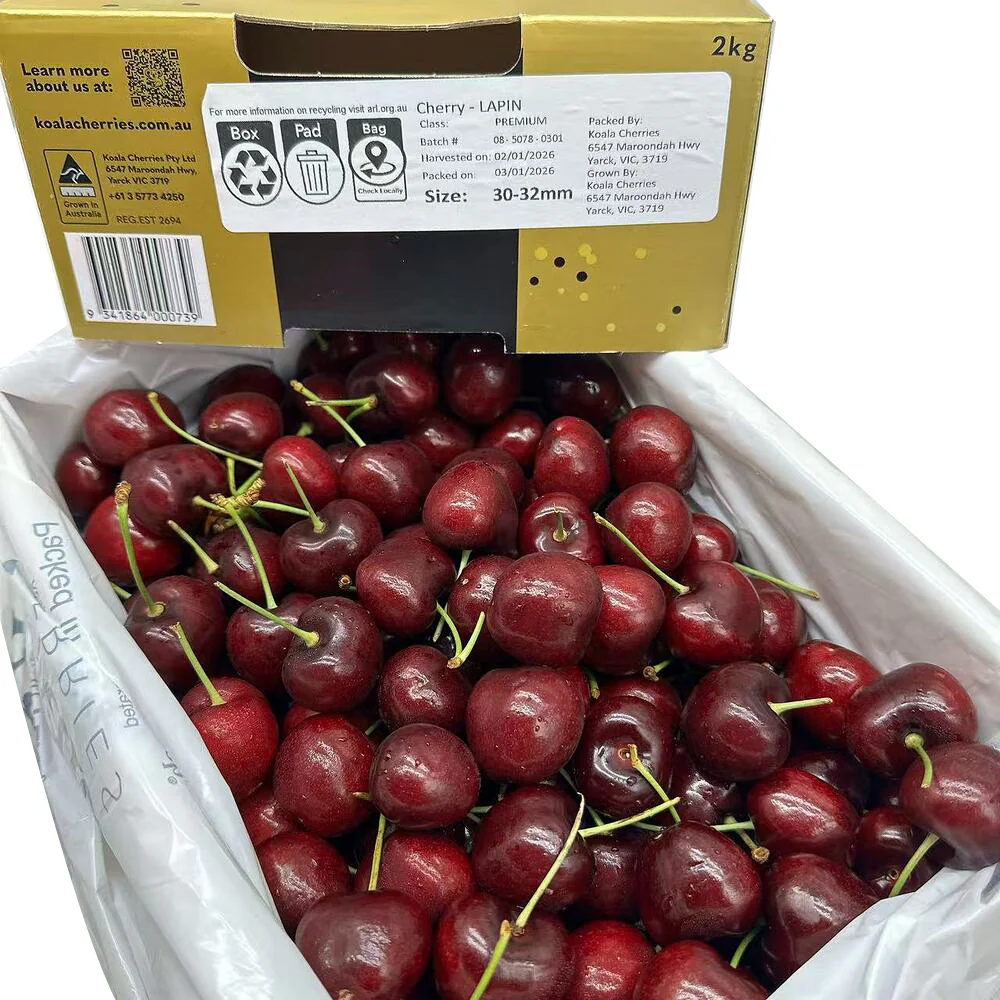 Koala Cherries Lapin Cherries Gift Box 2kg – 30–32mm - Image 5