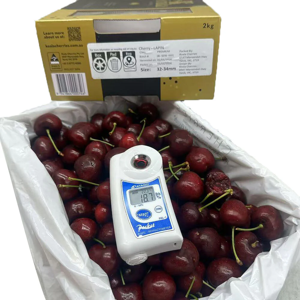 Koala Cherries Lapin Premium Cherries Gift Box 2kg (32–34mm) - Image 2