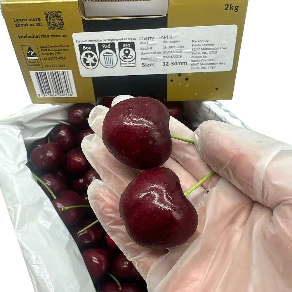 Koala Cherries Lapin Premium Cherries Gift Box 2kg (32–34mm) - Image 3