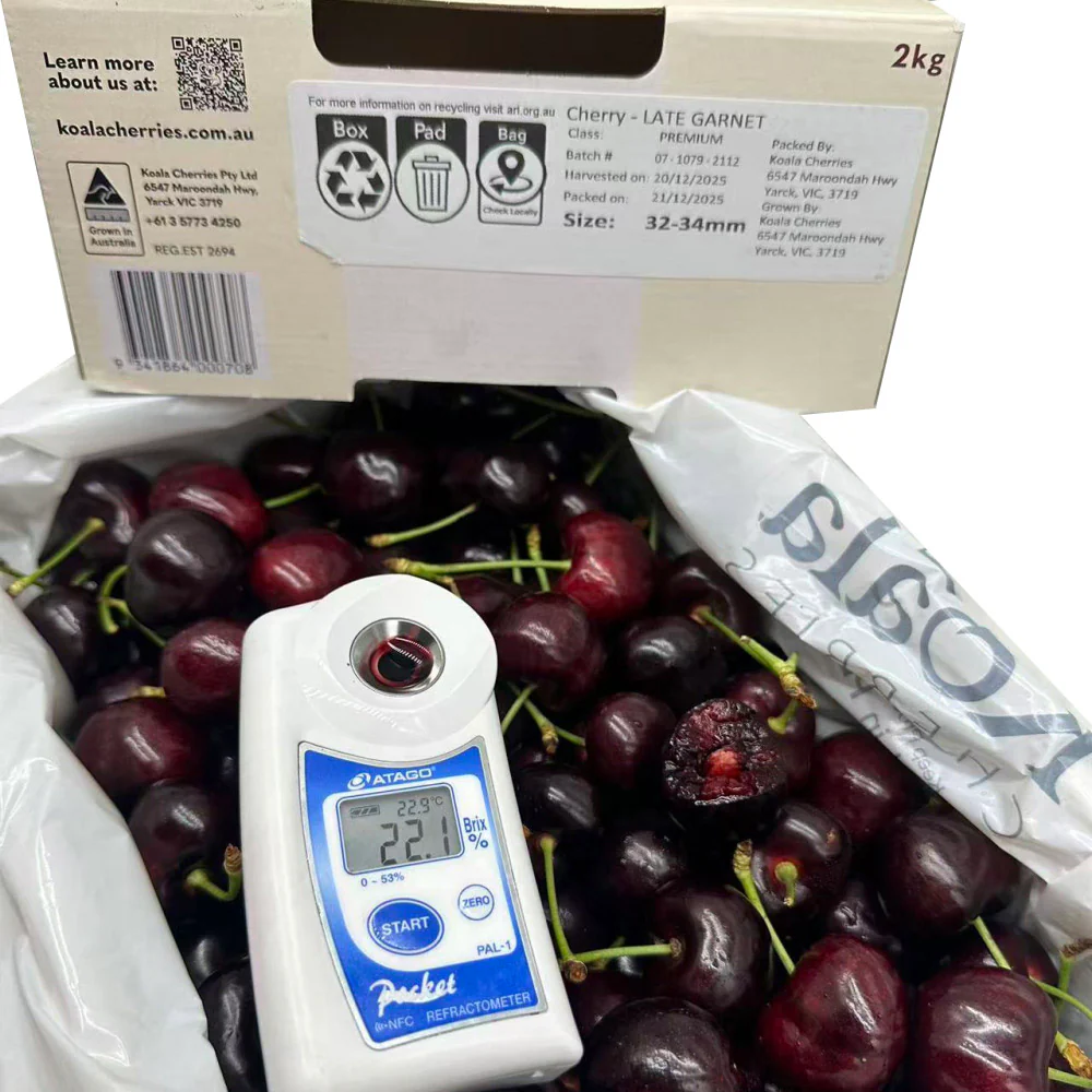 Koala Cherries Late Garnet Cherries 32–34mm Gift Box 2kg - Image 2
