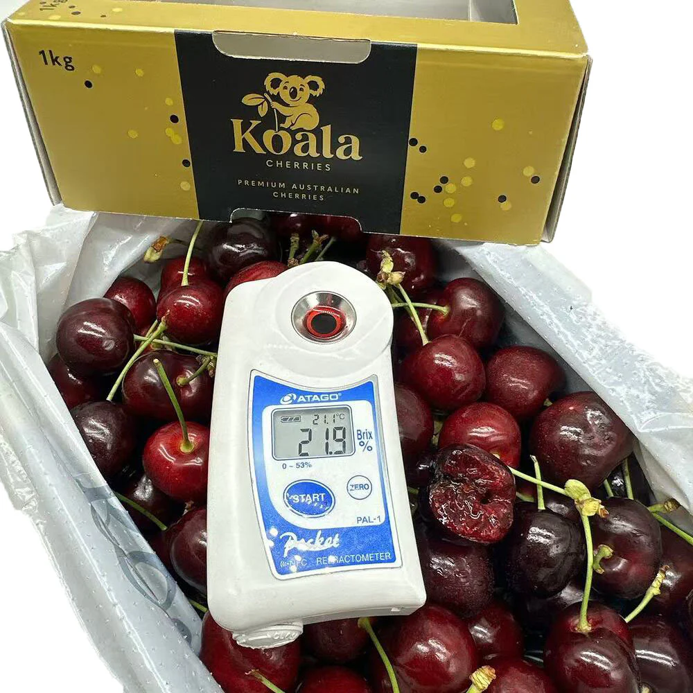 Koala Cherries Premium Gift Box 30–32mm – 1kg - Image 2