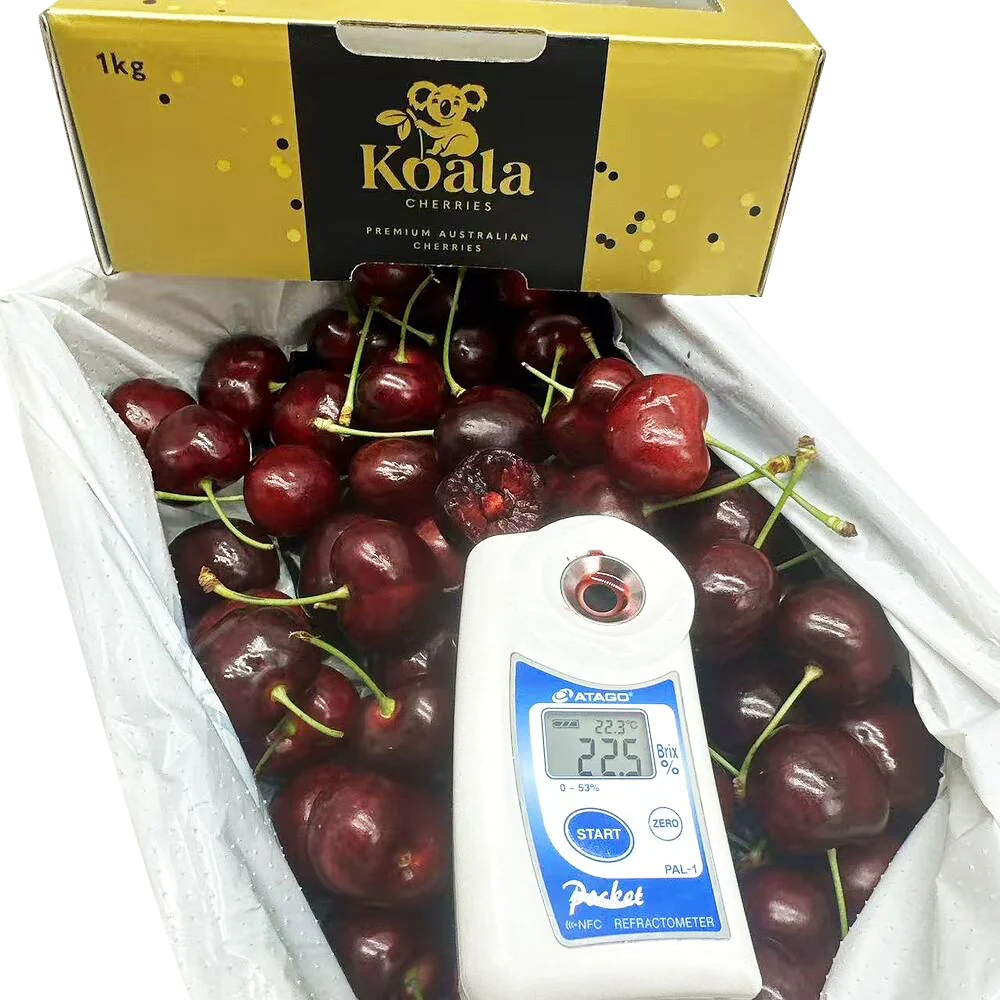Koala Cherries Premium Gift Box 32–34mm – 1kg - Image 2