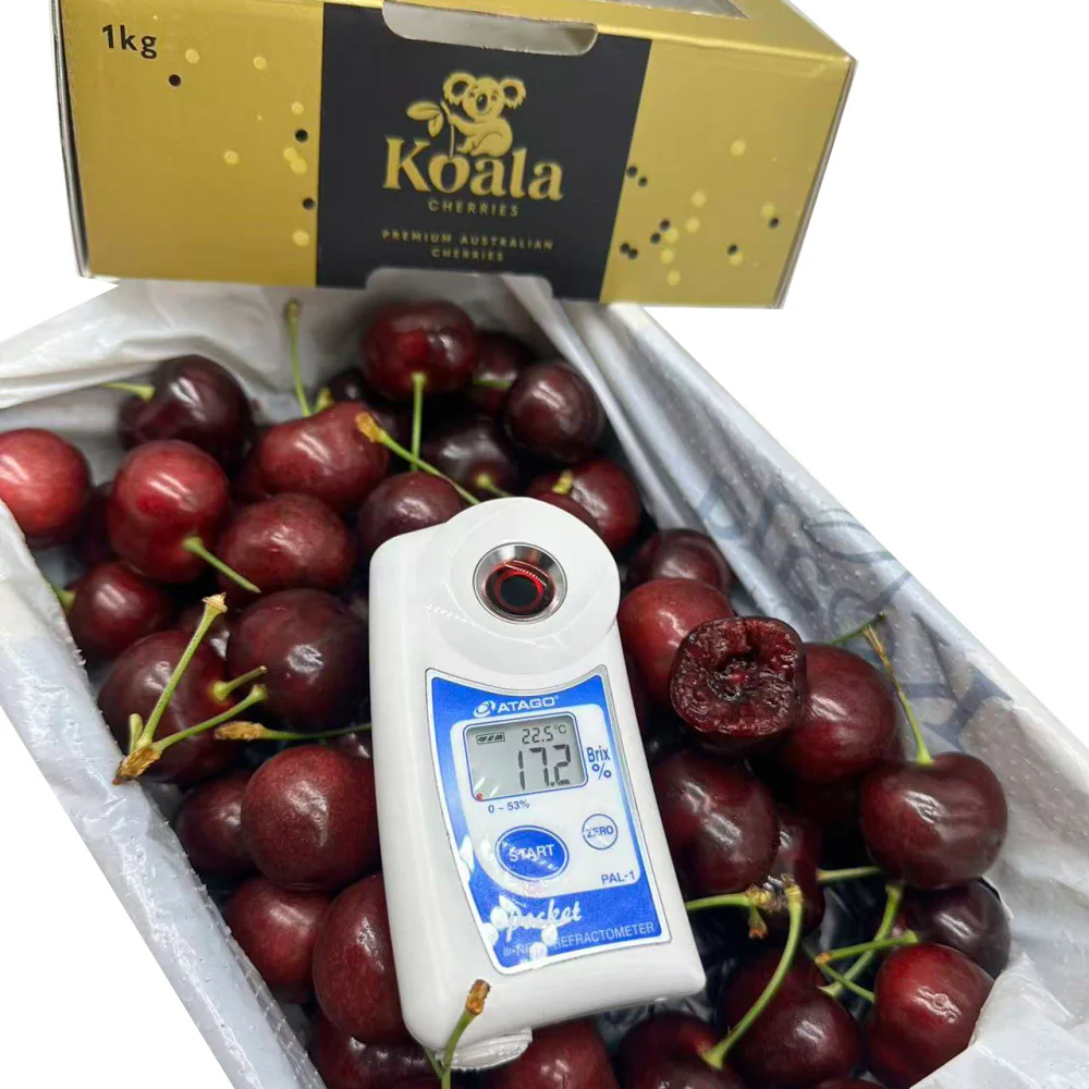 Koala Cherries Premium Gift Box 34–36mm - 1kg - Image 2