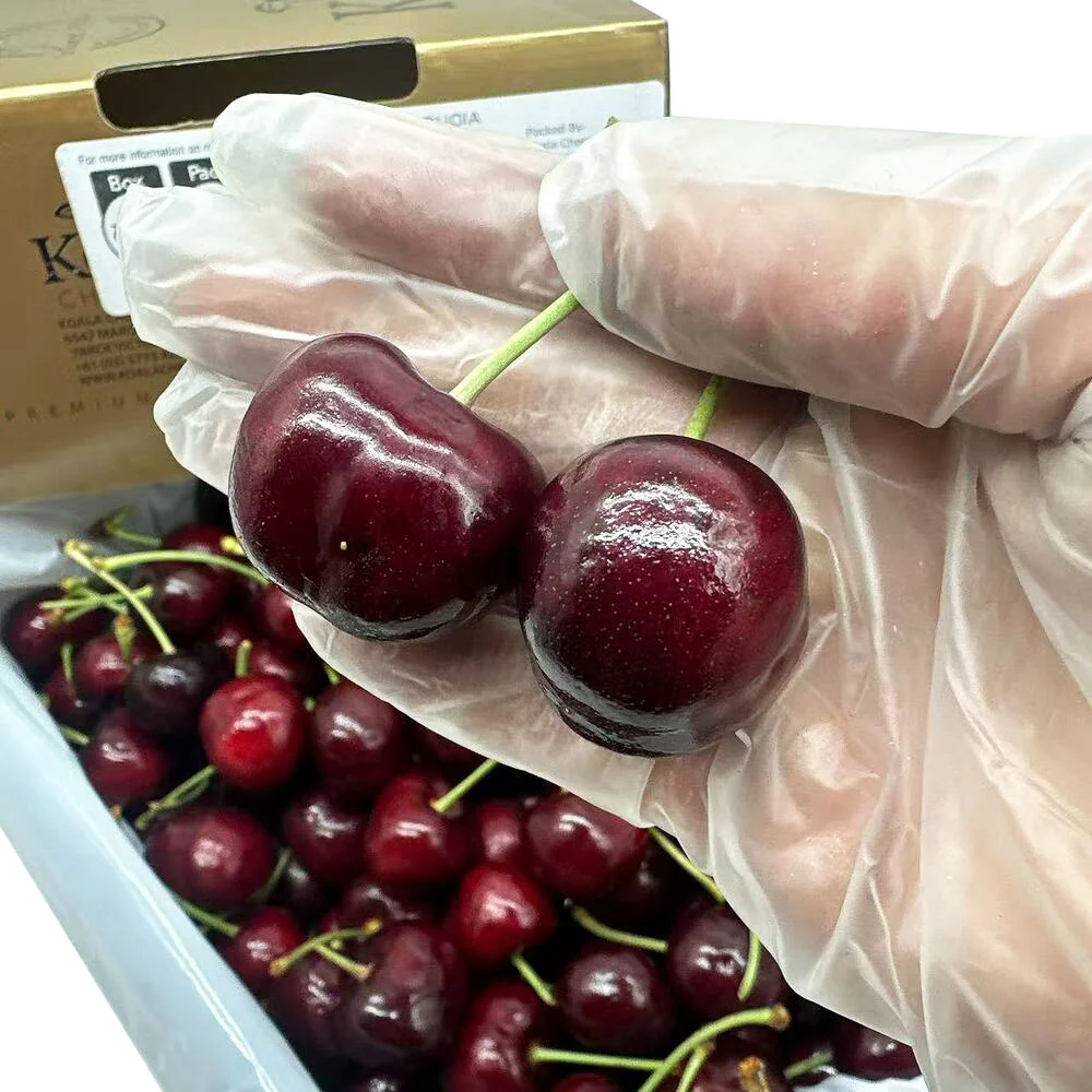 Koala Cherries Sequoia Premium Australian Cherries 28–30mm Gift Box – 2kg - Image 2