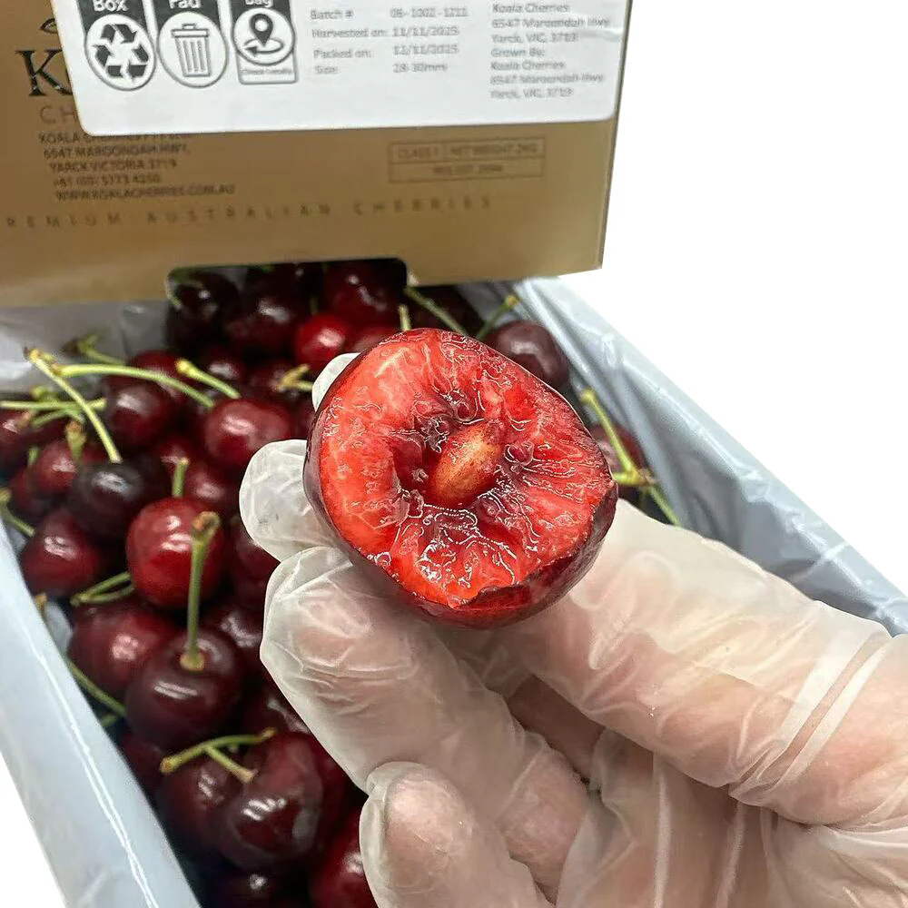 Koala Cherries Sequoia Premium Australian Cherries 28–30mm Gift Box – 2kg - Image 3