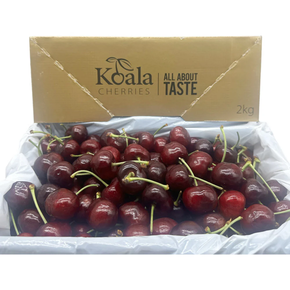 Koala Cherries Sequoia Premium Australian Cherries 28–30mm Gift Box – 2kg - Image 4