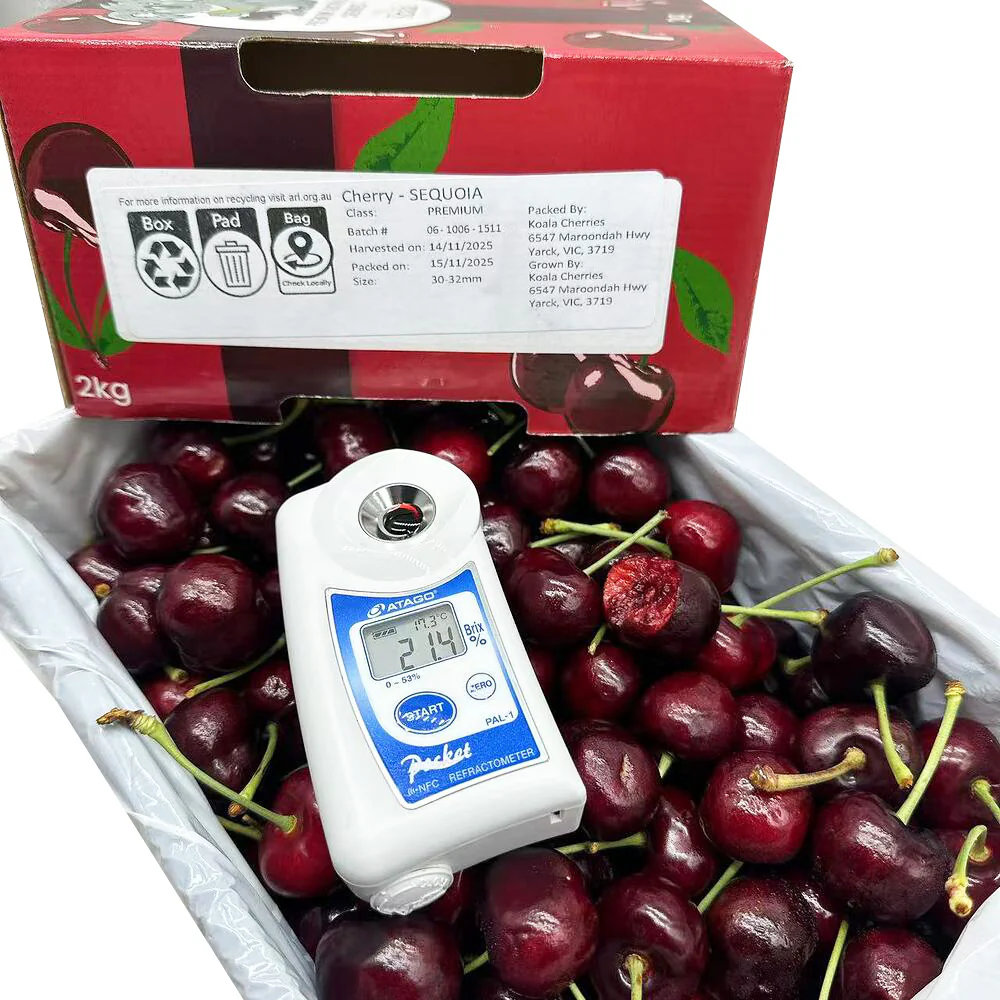 Koala Cherries Sequoia Premium Australian Cherries 30–32mm Gift Box - 2kg - Image 3