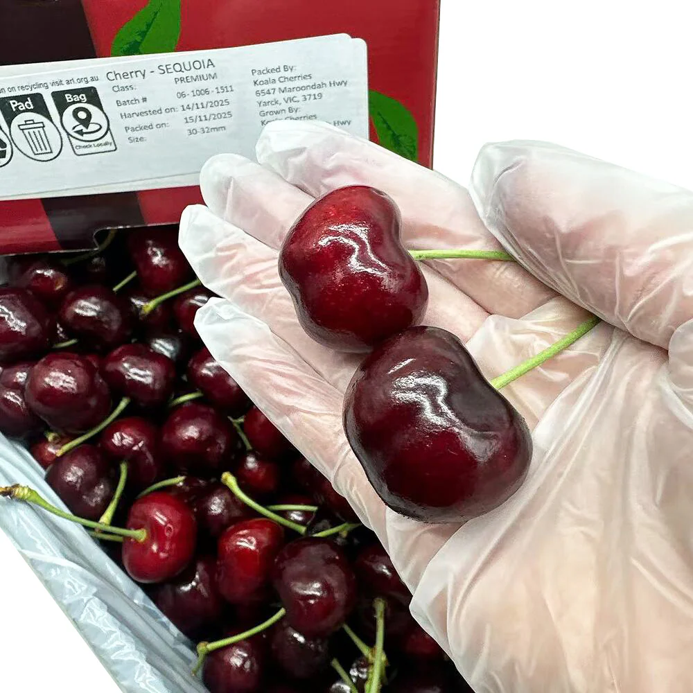 Koala Cherries Sequoia Premium Australian Cherries 30–32mm Gift Box - 2kg - Image 4