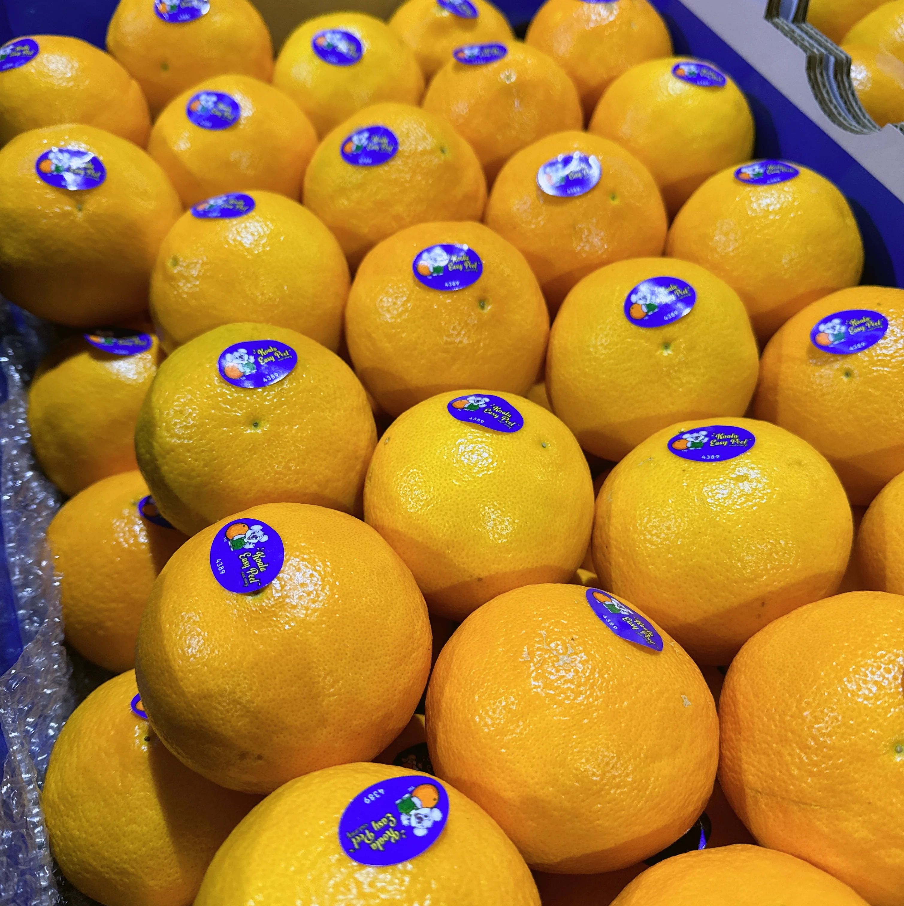 Koala Easy Peel Oranges - 1kg - Image 3