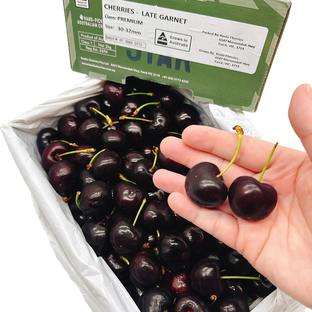 Koala Handpicked Black Pearl Cherries Gift Box - 2kg - Image 2