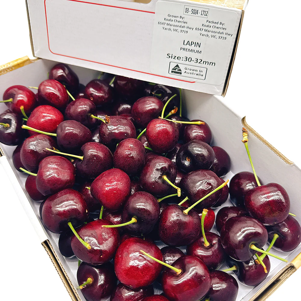 Koala Lapin Cherries Gift Box 30-32mm - 1kg - Image 2