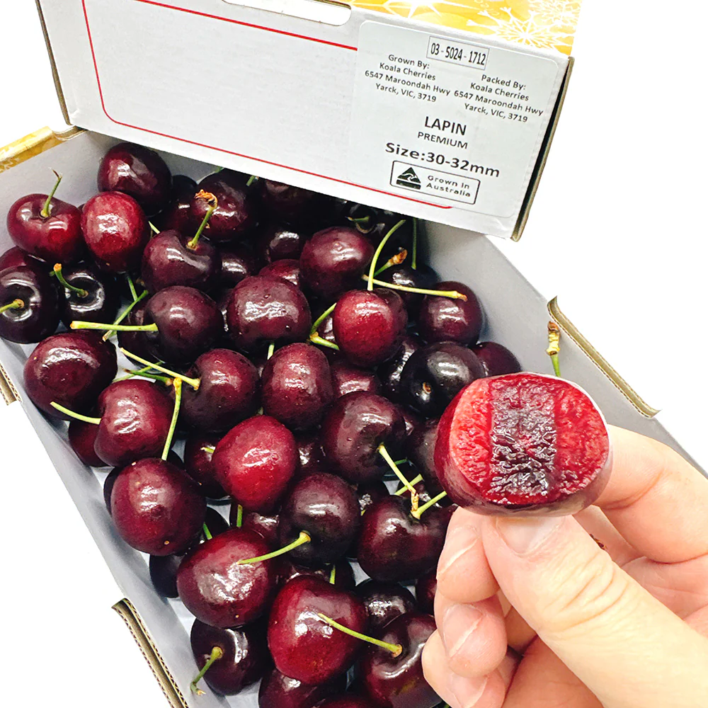 Koala Lapin Cherries Gift Box 30-32mm - 1kg - Image 3