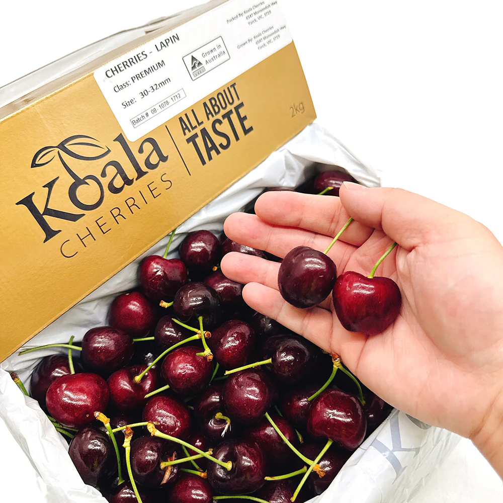 Koala Premium Cherries Gift Box 30-32mm - 2kg - Image 2