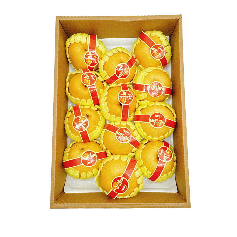 Korean Pear - 1 Piece - Image 2