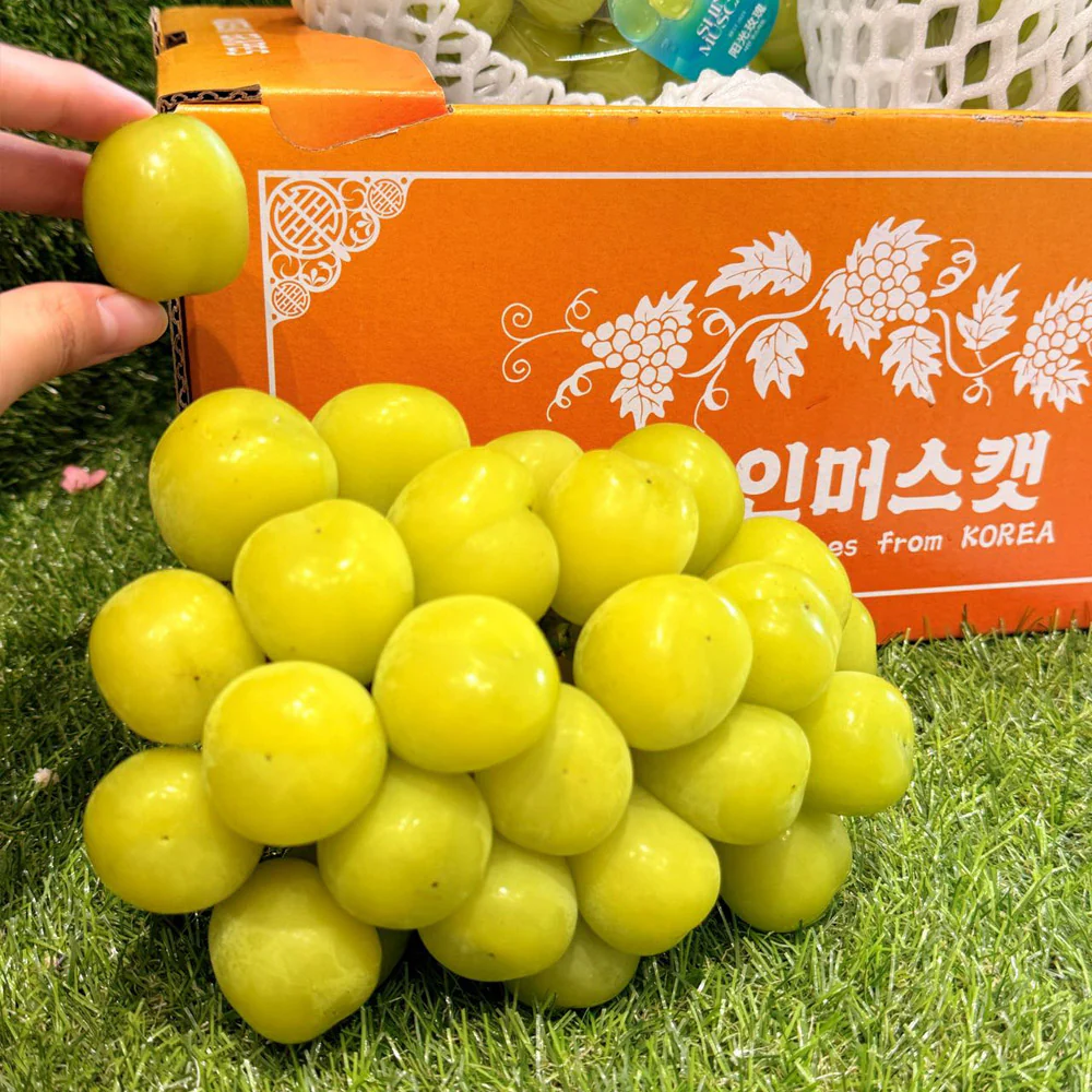 Korean Premium Shine Muscat Grapes Gift Box – 2kg - Image 2