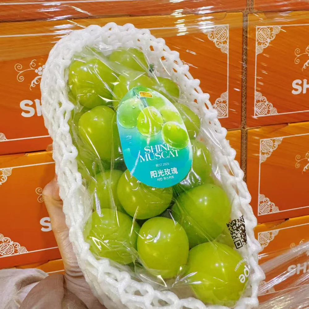 Korean Premium Shine Muscat Grapes Gift Box – 2kg - Image 3