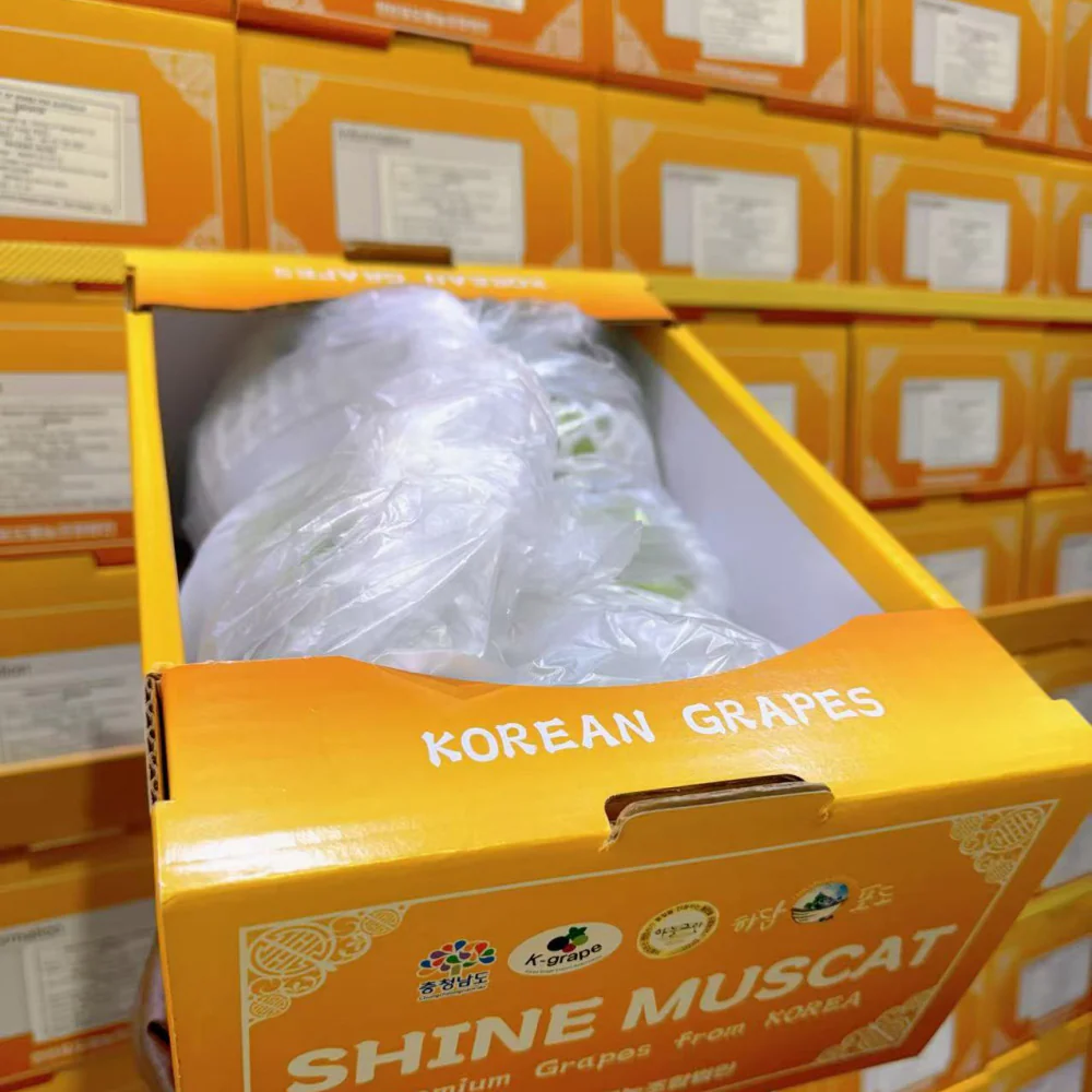 Korean Premium Shine Muscat Grapes Gift Box – 2kg - Image 4