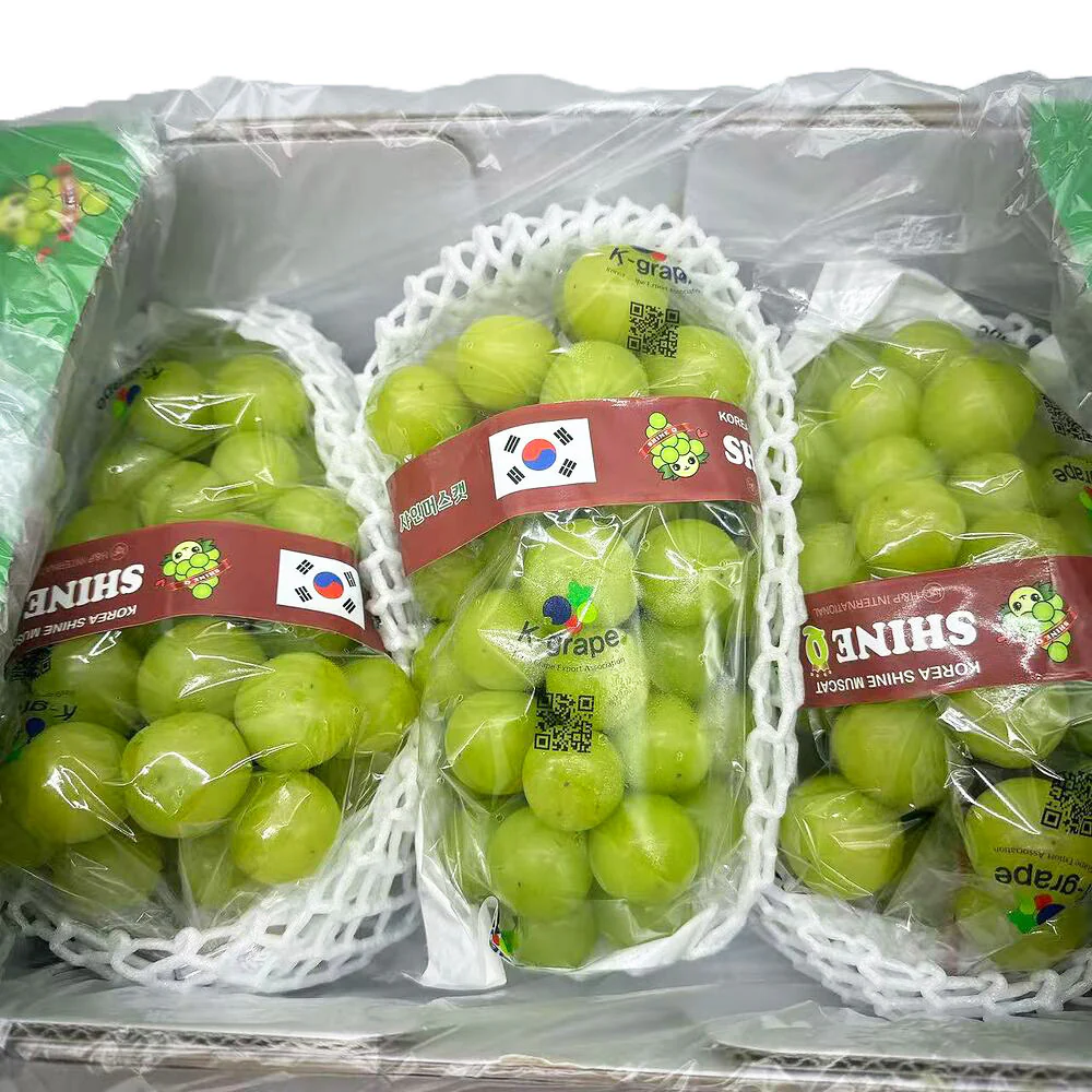 Korean Premium Shine Muscat Grapes Gift Box 2kg - Seedless Green Grapes - Image 2