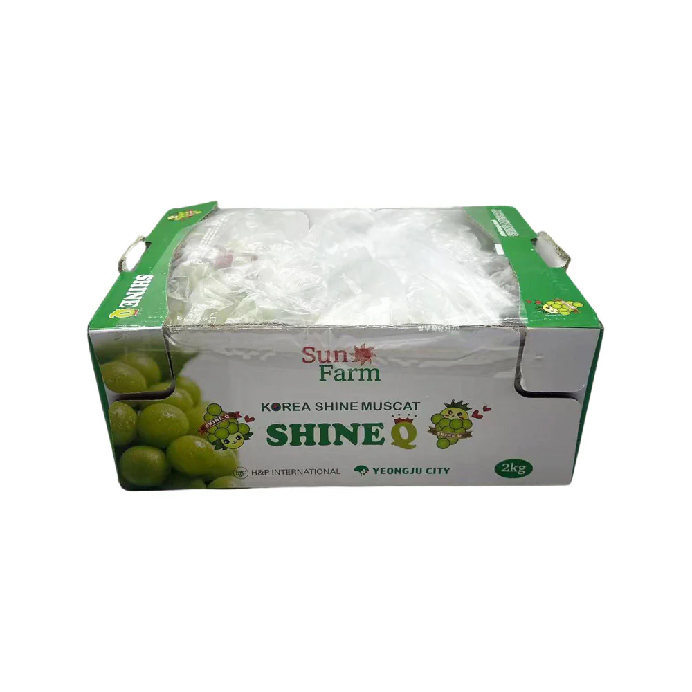 Korean Premium Shine Muscat Grapes Gift Box 2kg - Seedless Green Grapes - Image 3