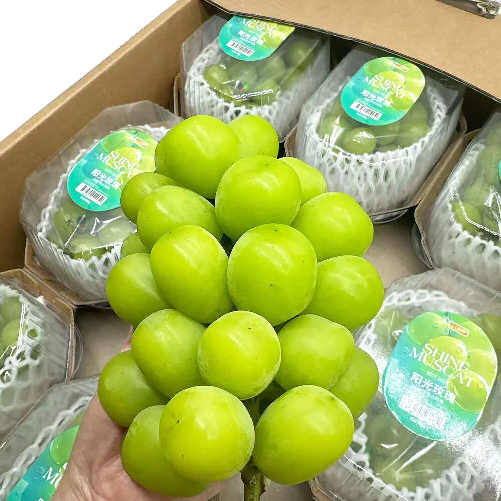 Korean Premium Shine Muscat Grapes – Seedless, No Need to Peel – 1 Pack, 500g