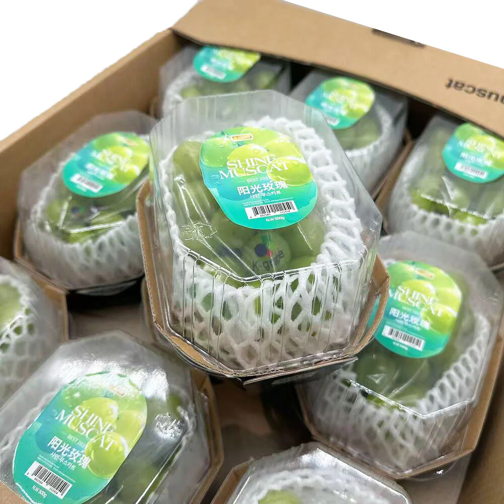 Korean Premium Shine Muscat Grapes – Seedless, No Need to Peel – 1 Pack, 500g - Image 2