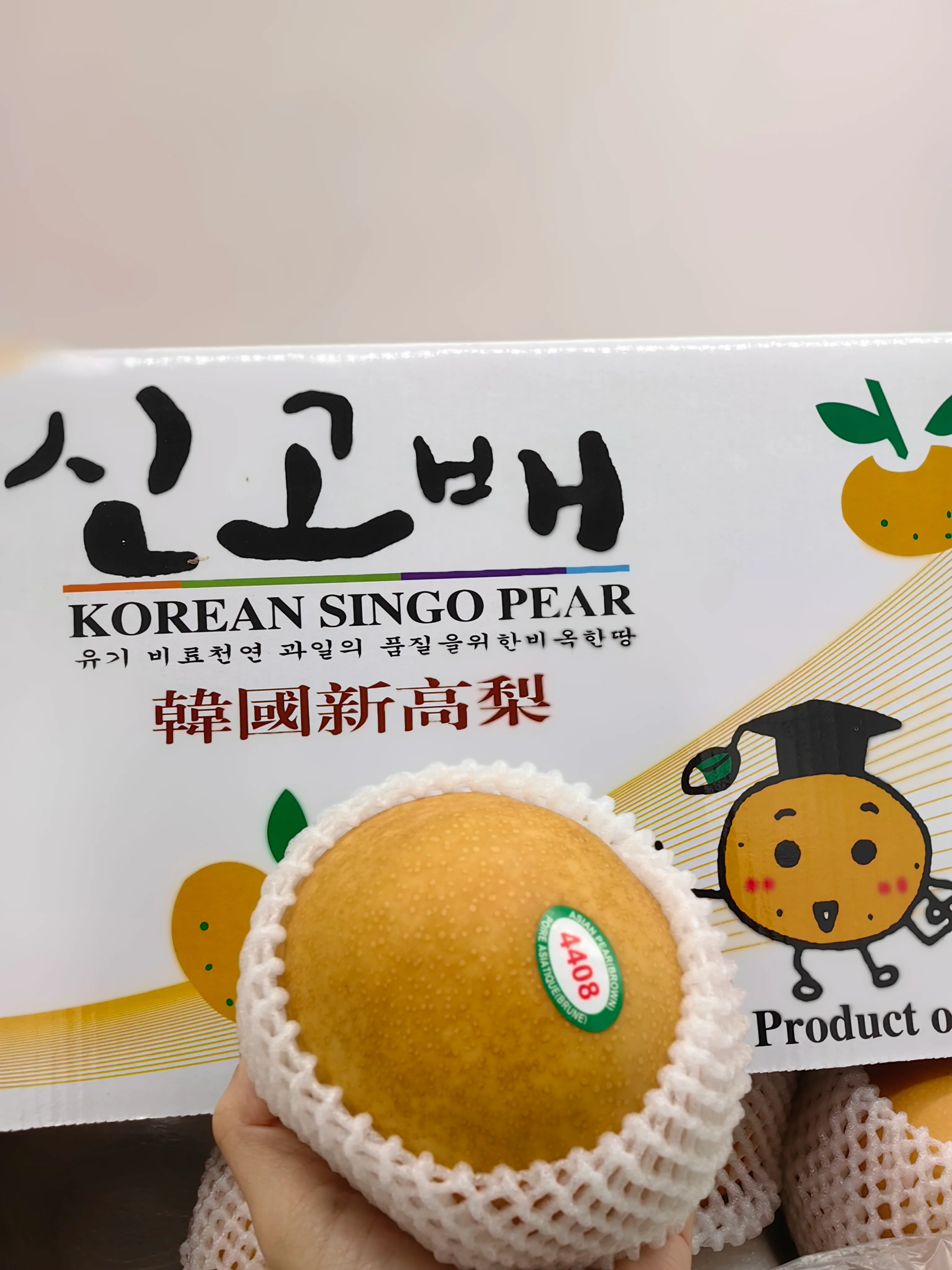 Korean Singo Pear - 1.1kg - Image 2