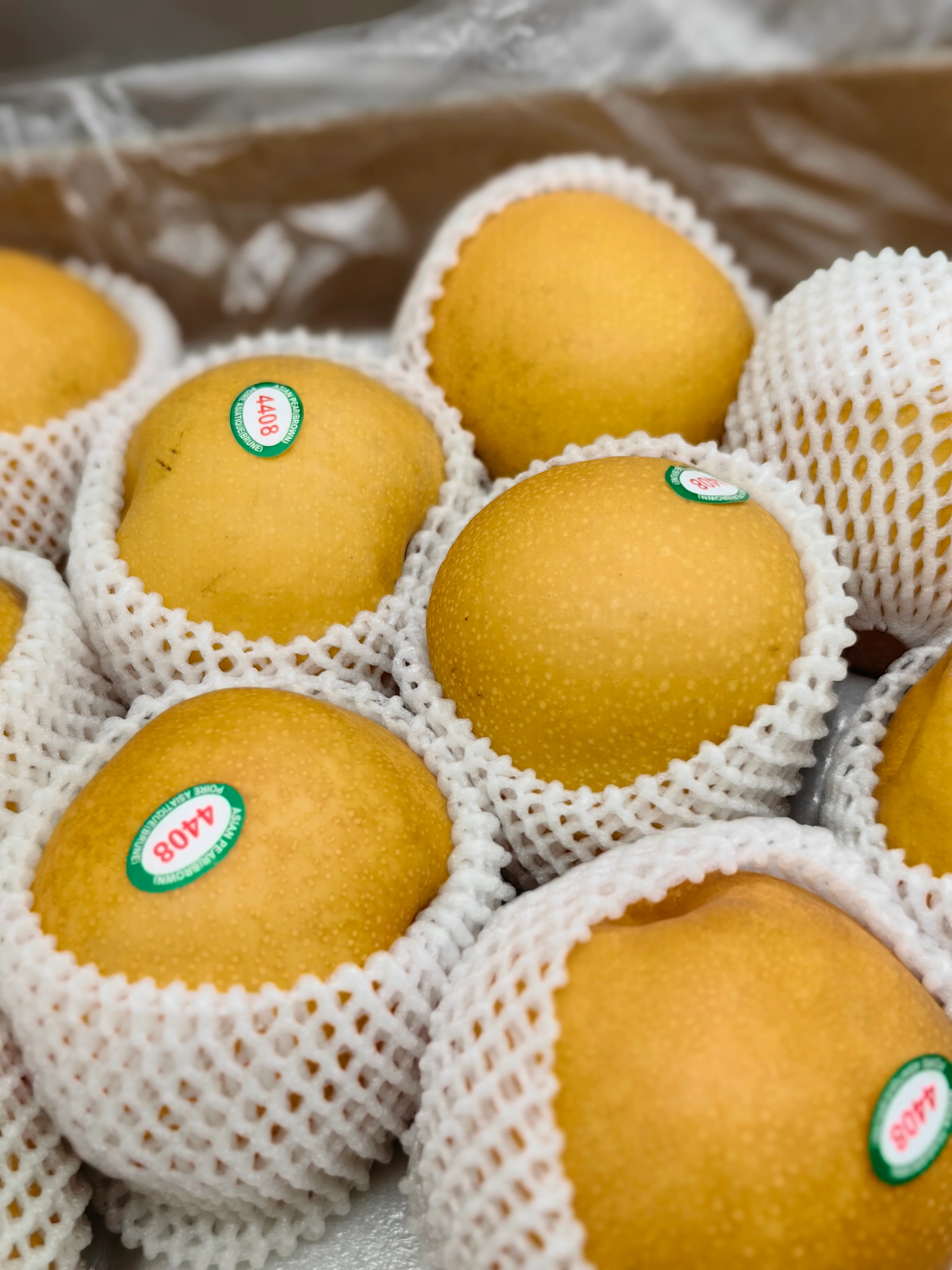 Korean Singo Pear - 1.1kg - Image 4