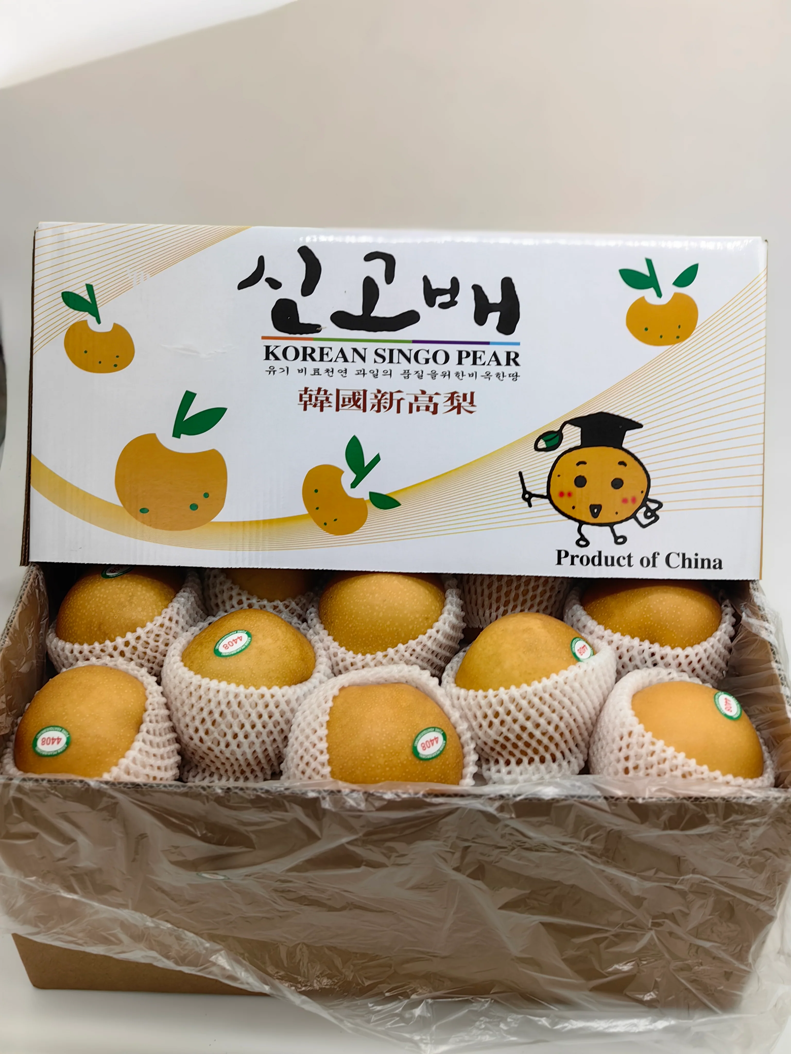 Korean Singo Pear - 1.1kg - Image 5