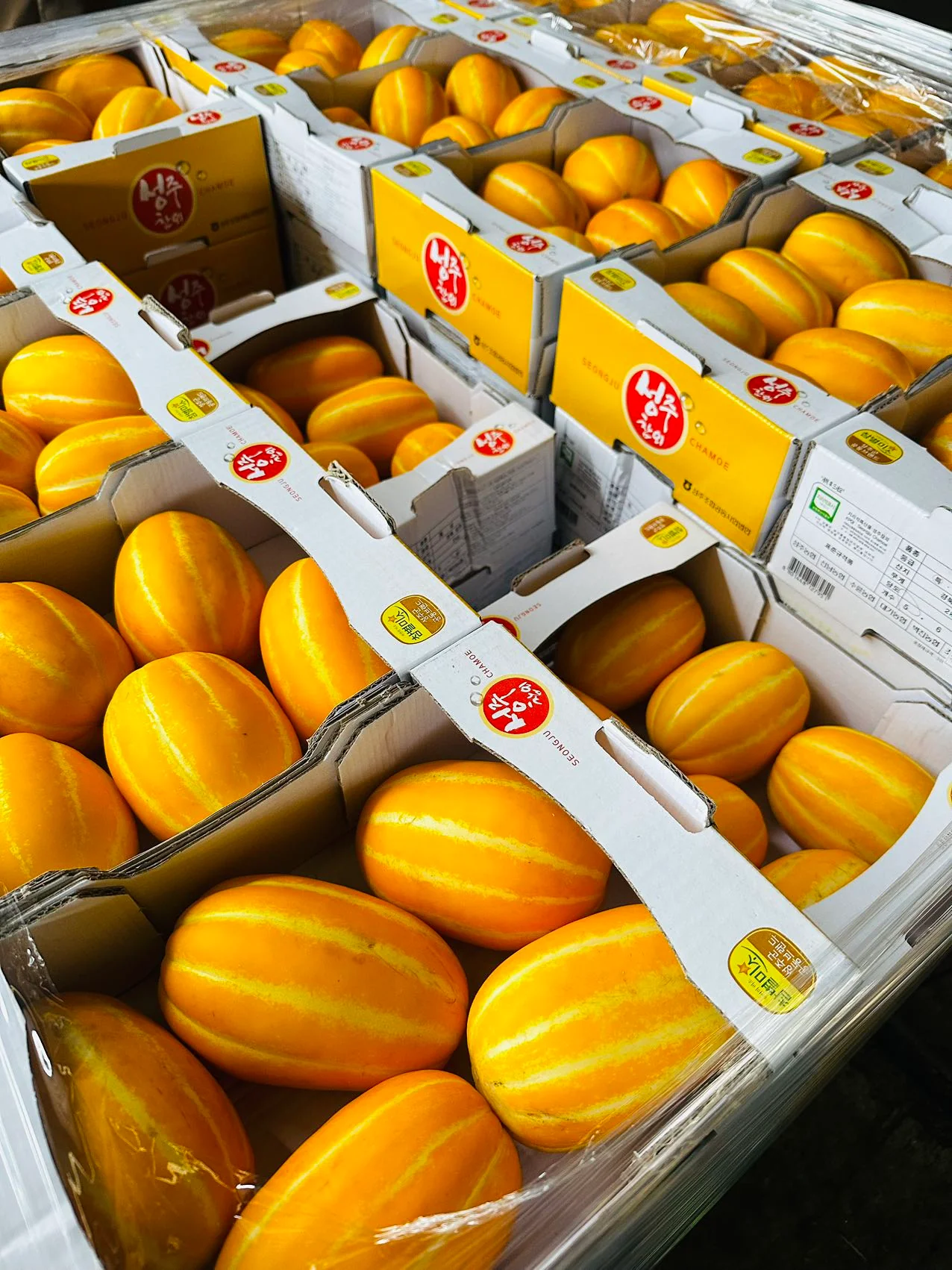 Korean Sweet Melon - 1 Piece - Image 3