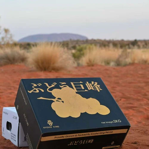 Kyoho King Australian-Grown Kyoho Grapes Gift Box 2kg - Black Gold Limited Edition - Image 3