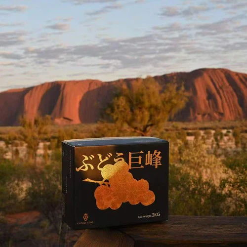 Kyoho King Australian-Grown Kyoho Grapes Gift Box 2kg - Black Gold Limited Edition - Image 4