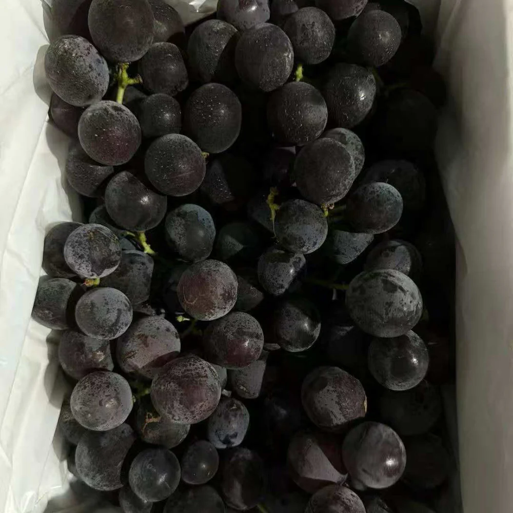Kyoho King Australian-Grown Kyoho Grapes Horse Year Limited Gift Box 2kg - Image 7