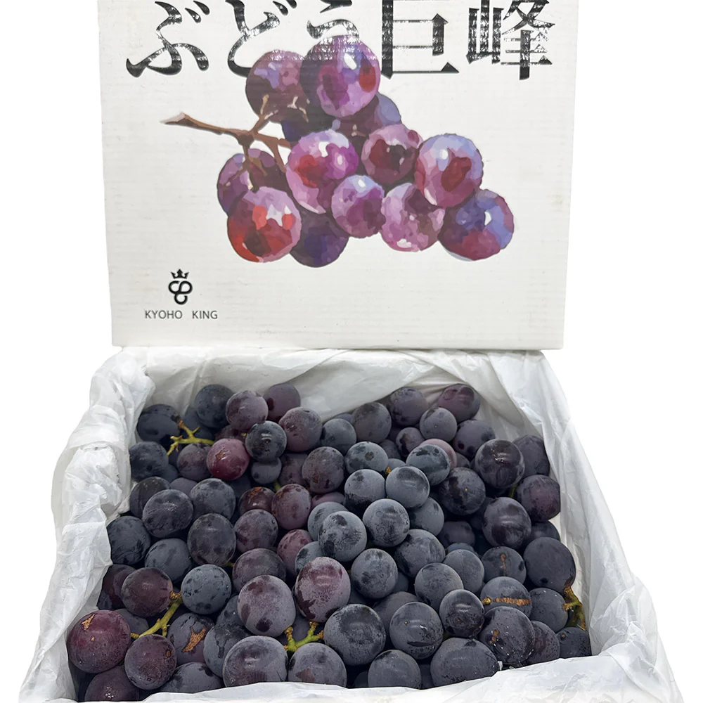 Kyoho King Japanese Old Vine Grapes - Australian Grown, 2kg Box