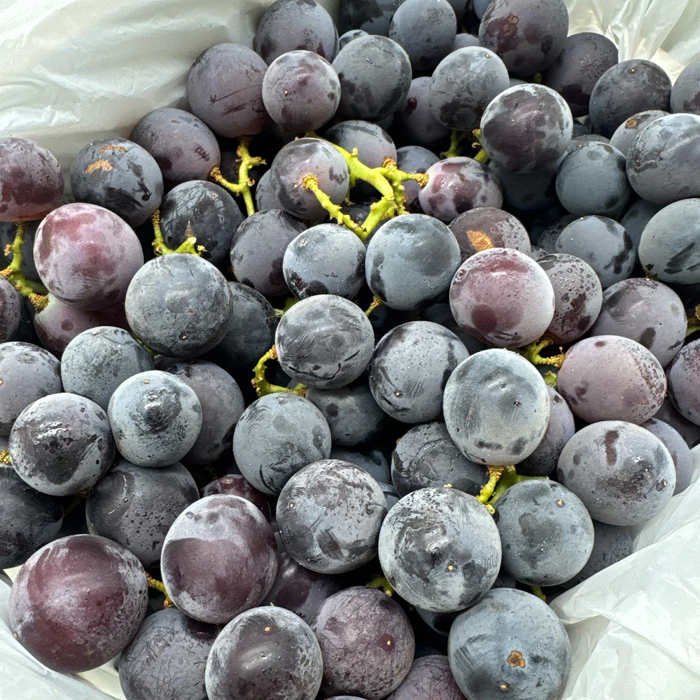 Kyoho King Japanese Old Vine Grapes - Australian Grown, 2kg Box - Image 2