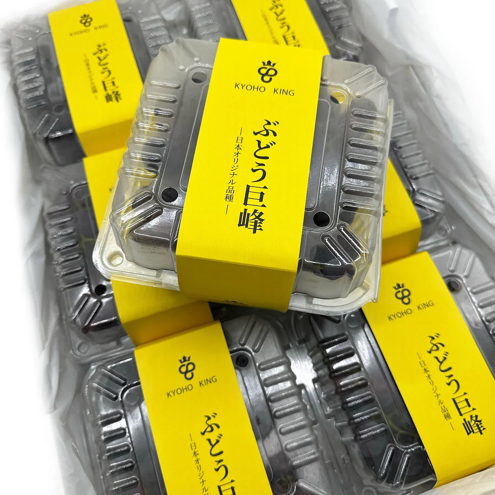 Kyoho King Premium Kyoho Grapes - Box of 1.2kg - Image 2