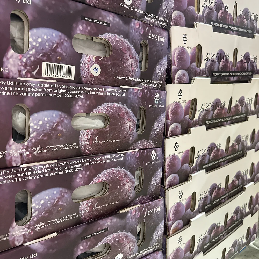 Kyoho King Premium Kyoho Grapes - Box of 1.2kg - Image 5
