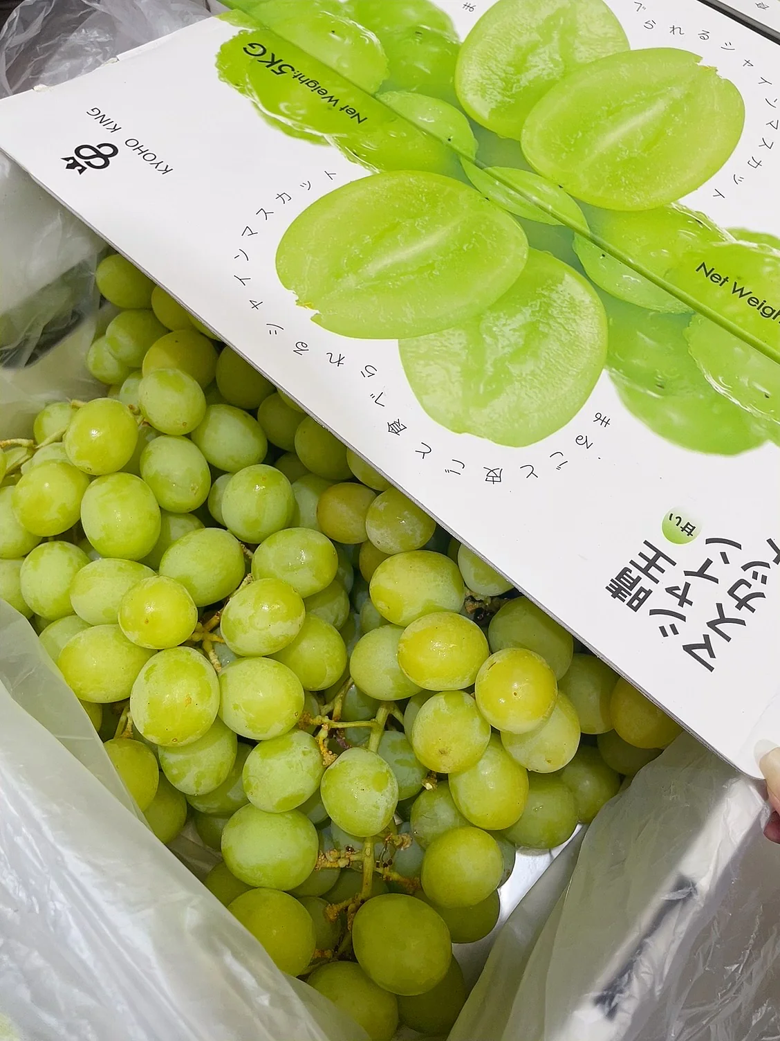 Kyoho King Shine Muscat Grapes - 900g - Image 3