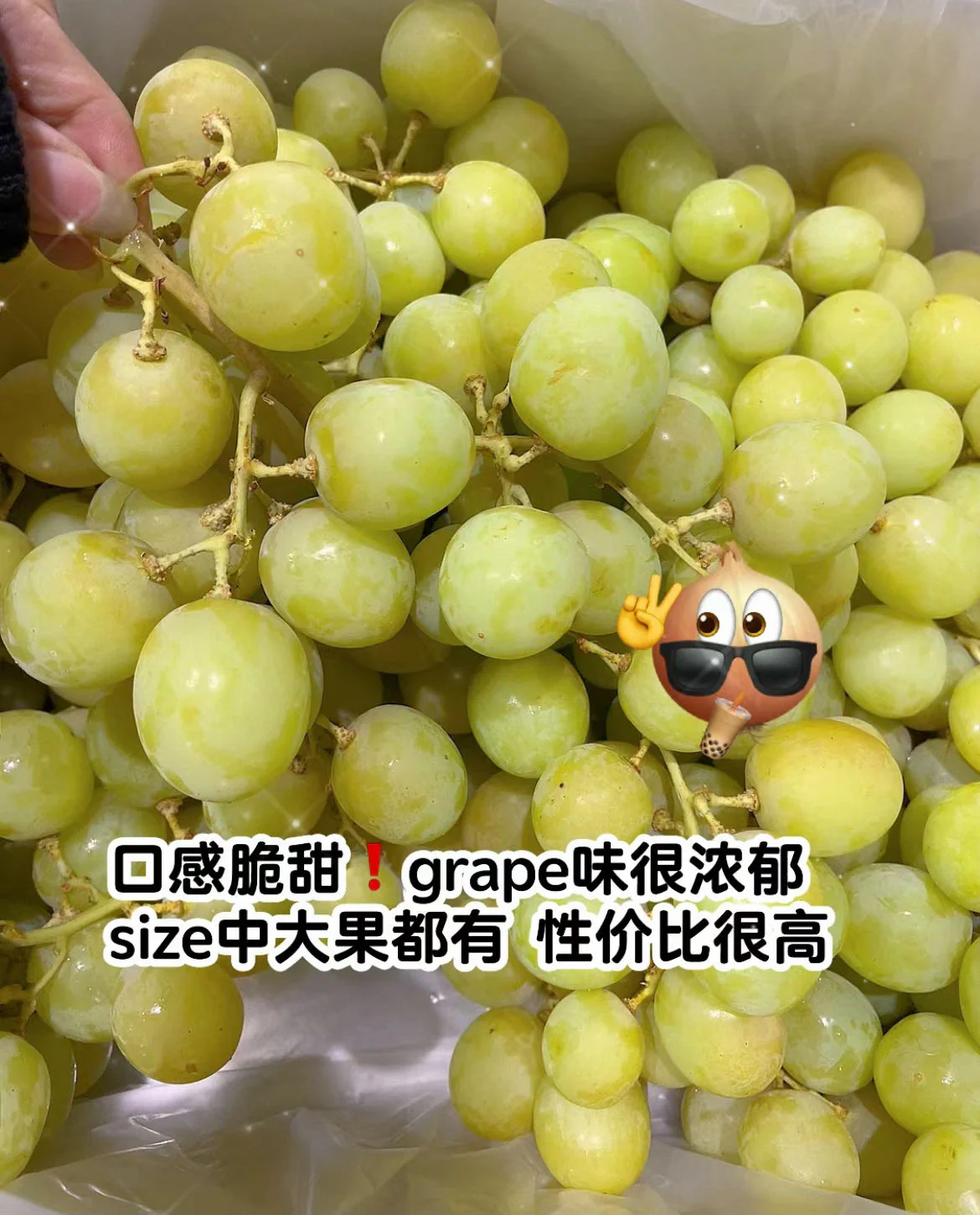 Kyoho King Shine Muscat Grapes - 900g - Image 4