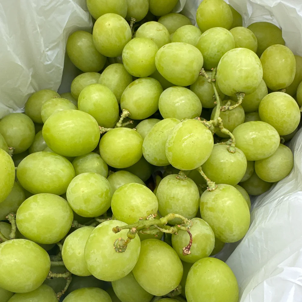 Kyoho King Shine Muscat Grapes - Box of 2kg - Image 3