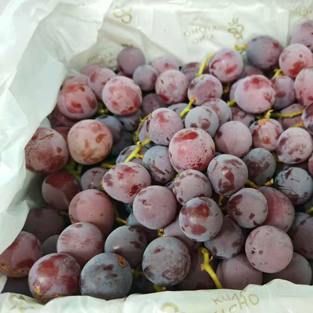 Kyoho Princess Jelly Kyoho Grapes - 2kg Box - Image 3