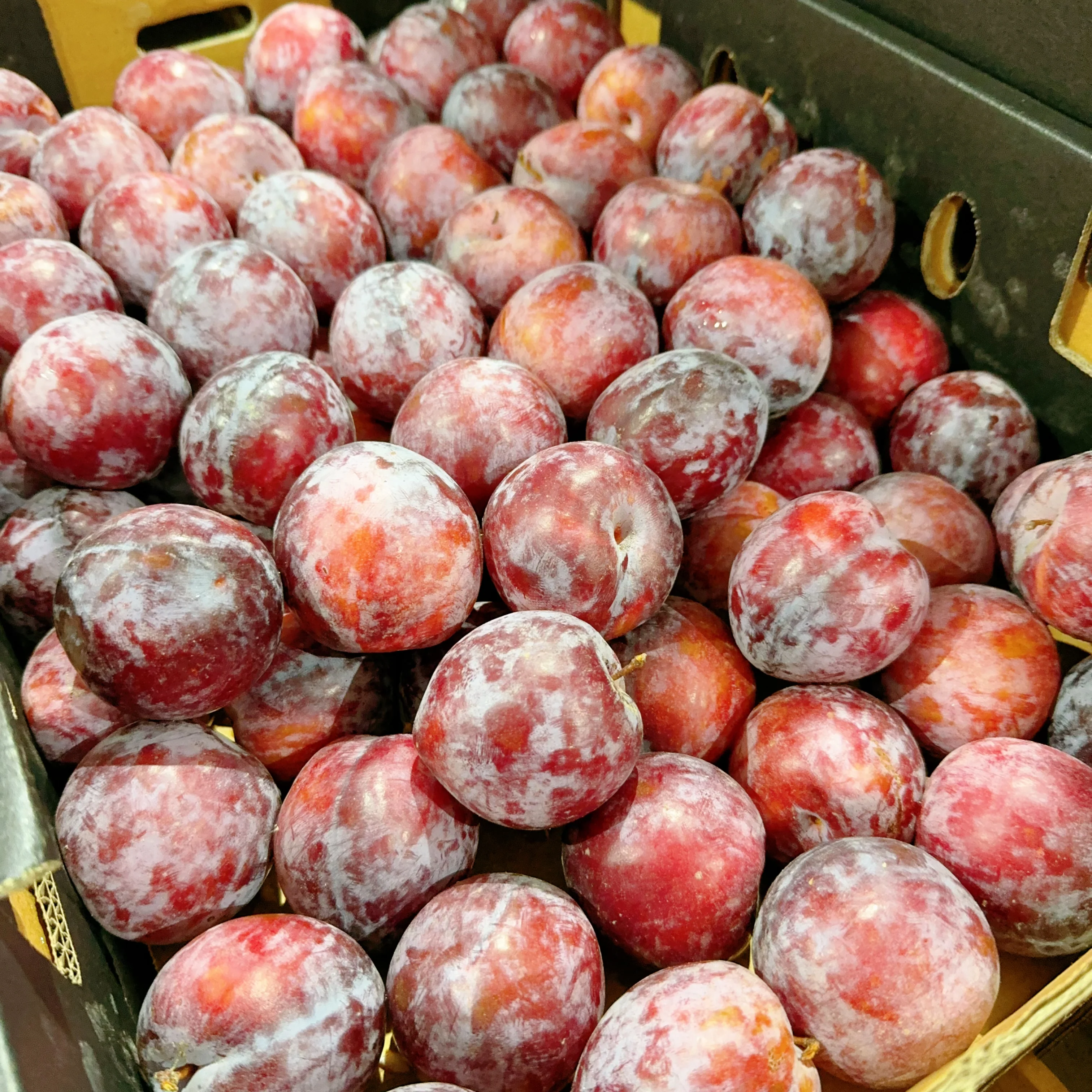 Large Pointed Black Plums - 1kg - Image 2