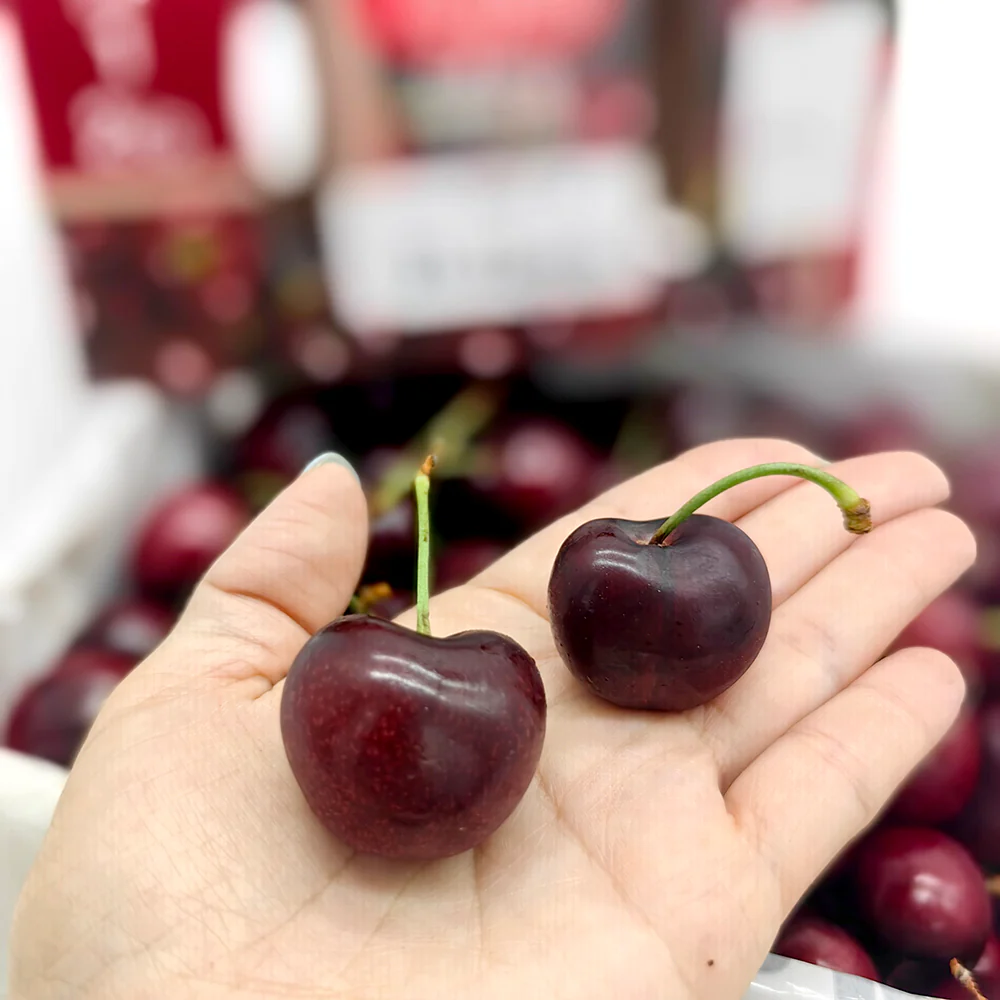 Latina Fruits SMS16 Cherries Gift Box 31-33mm - 2kg - Image 2